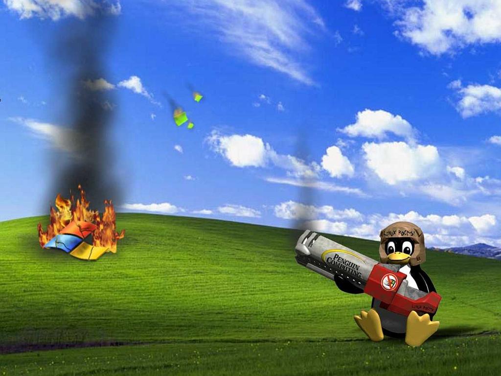 Fun wallpaper 11